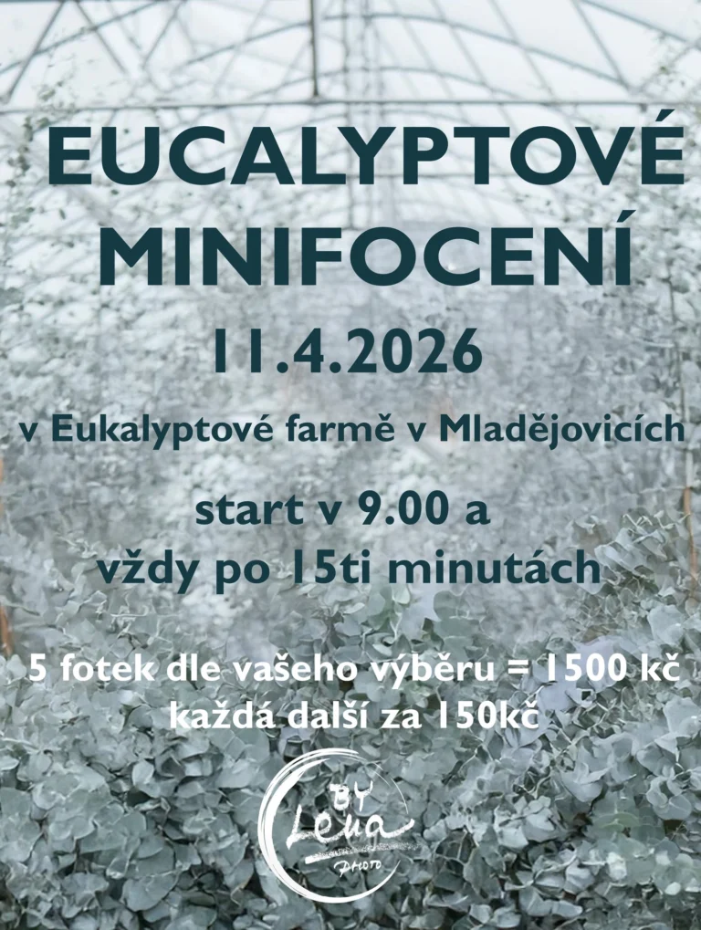 Instagram post from lenkadrapalovafoto. This post is in position 2.