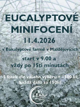 Instagram post from lenkadrapalovafoto. This post is in position 4.