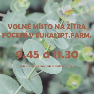 Instagram post from lenkadrapalovafoto. This post is in position 5.